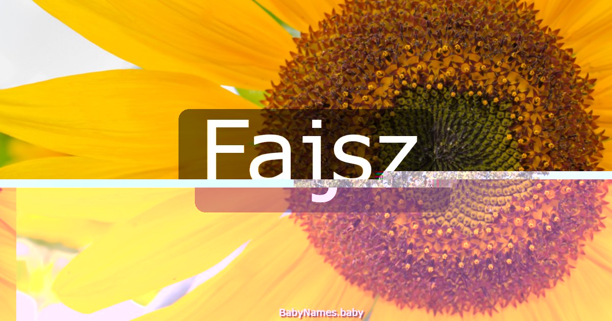 Fajsz