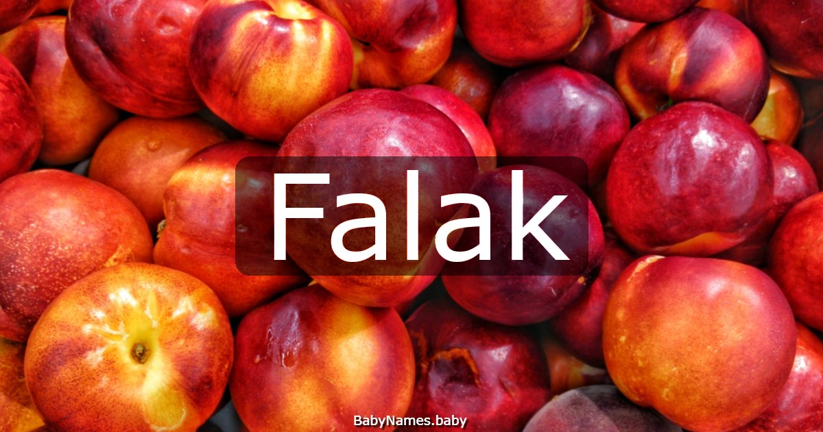 Falak