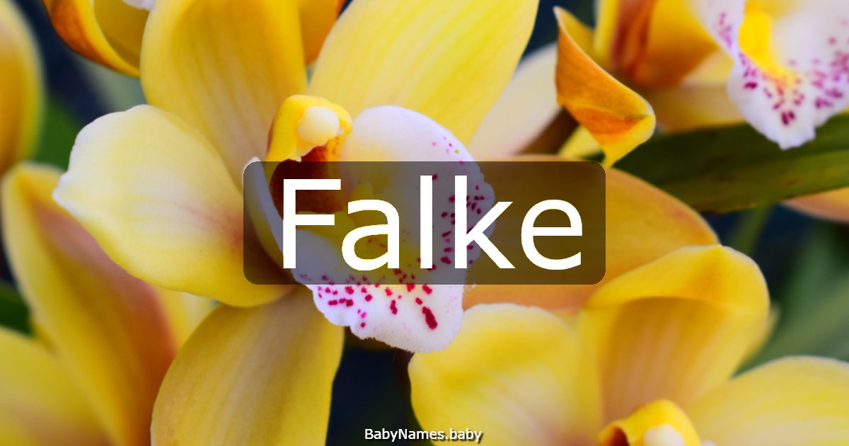 Falke