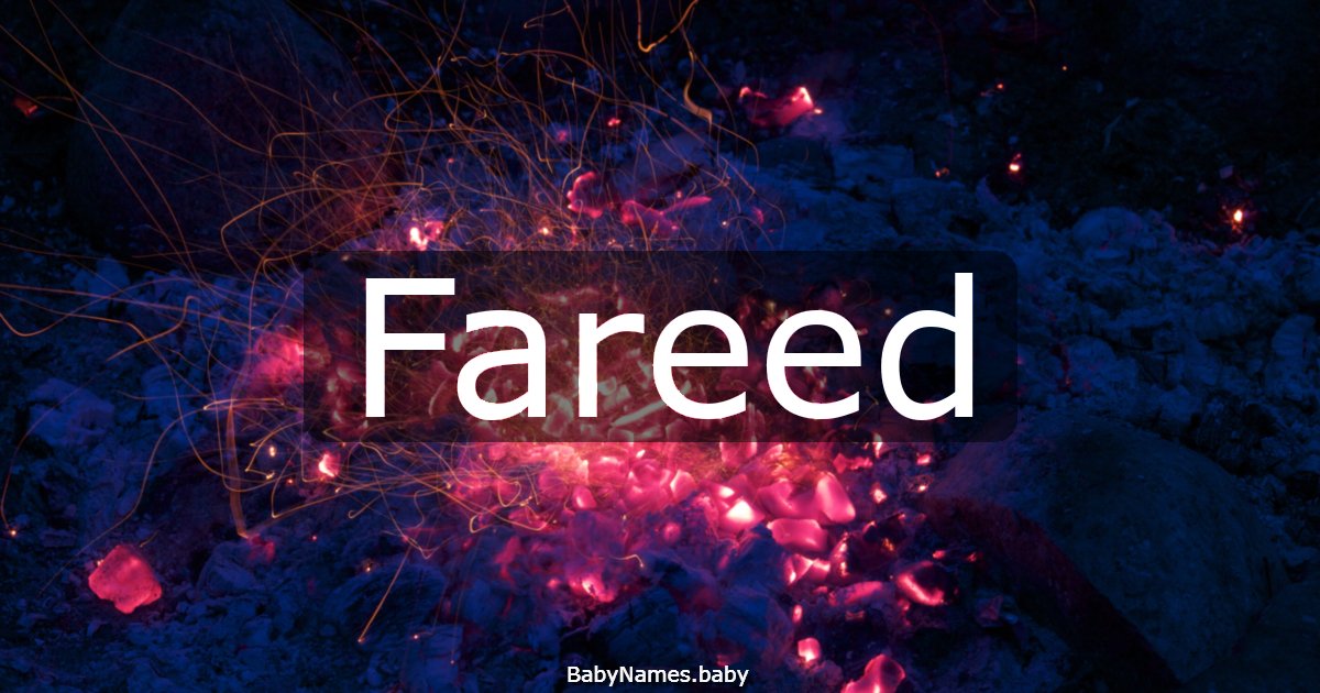 Fareed