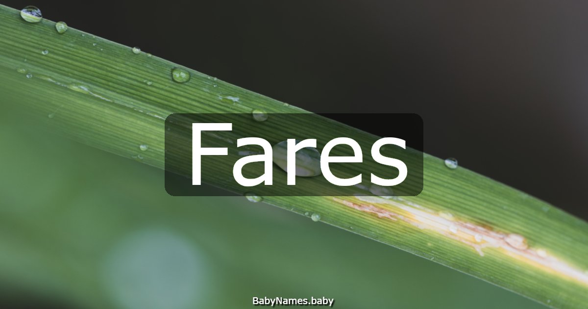 Fares