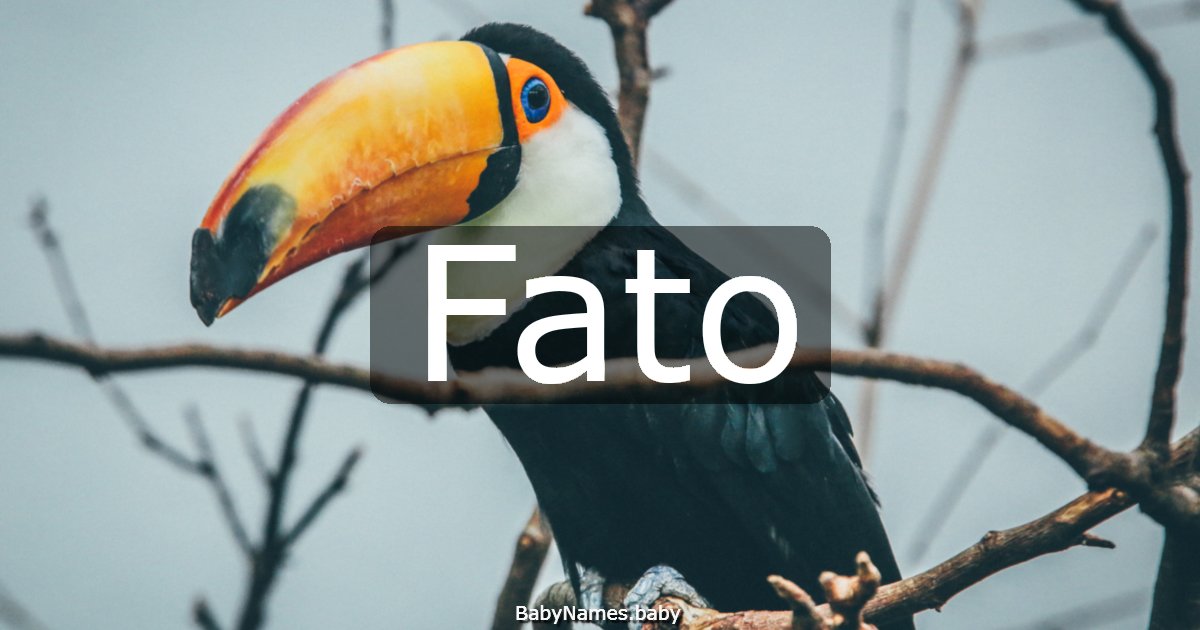 Fato
