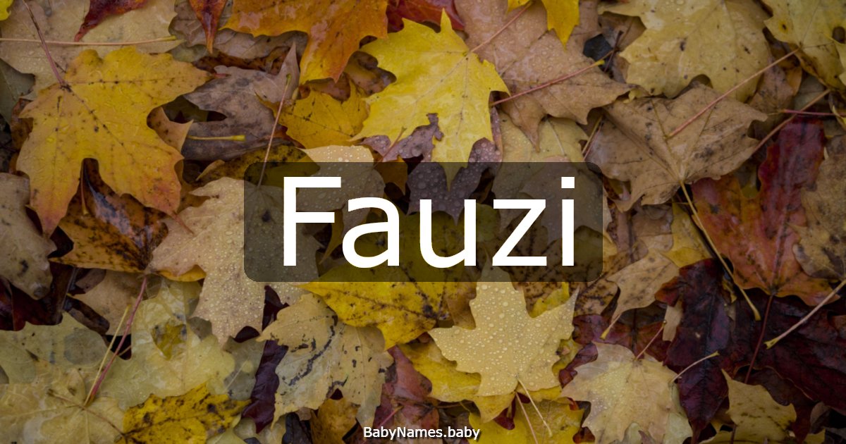 Fauzi