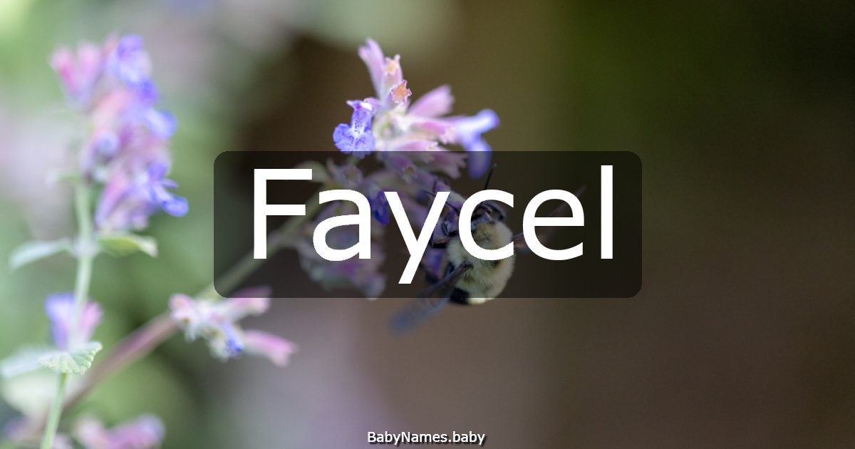 Faycel