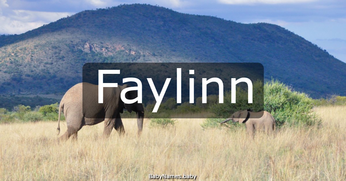 Faylinn