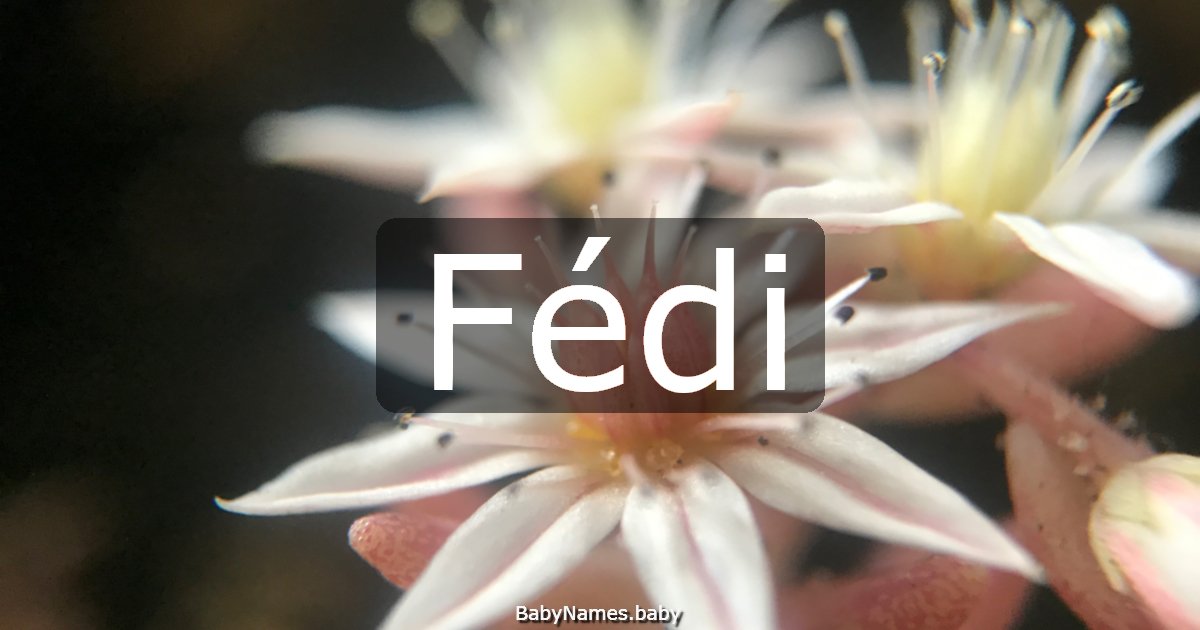 Fédi