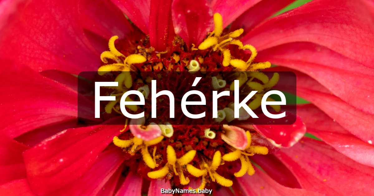 Fehérke