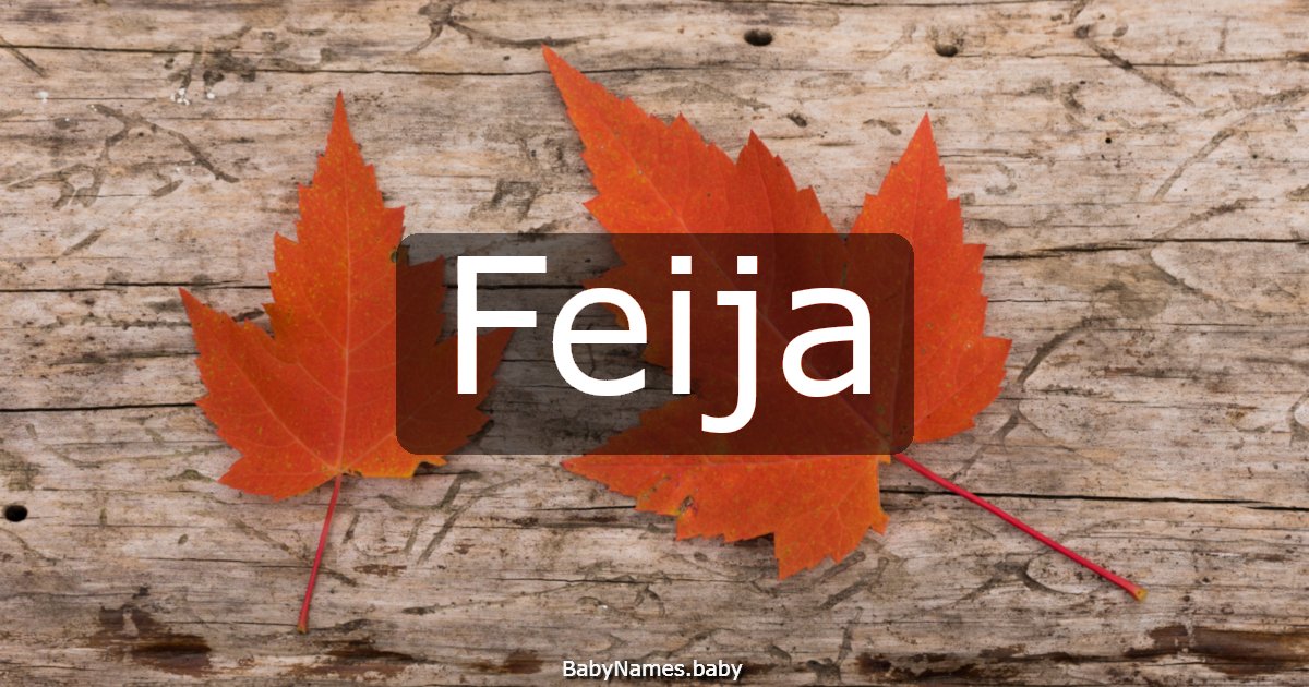 Feija