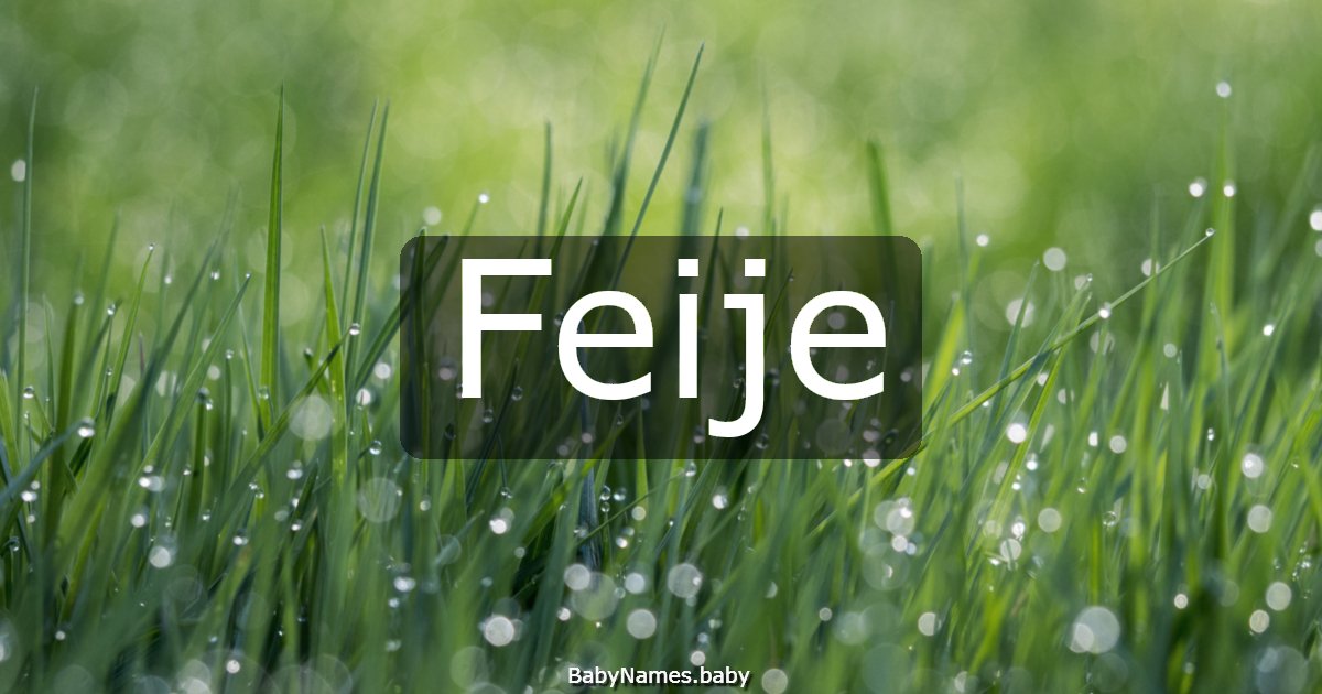 Feije