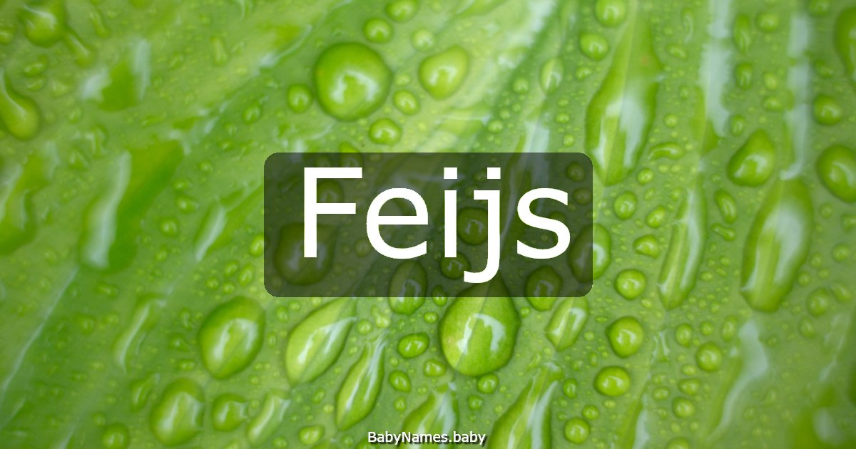 Feijs
