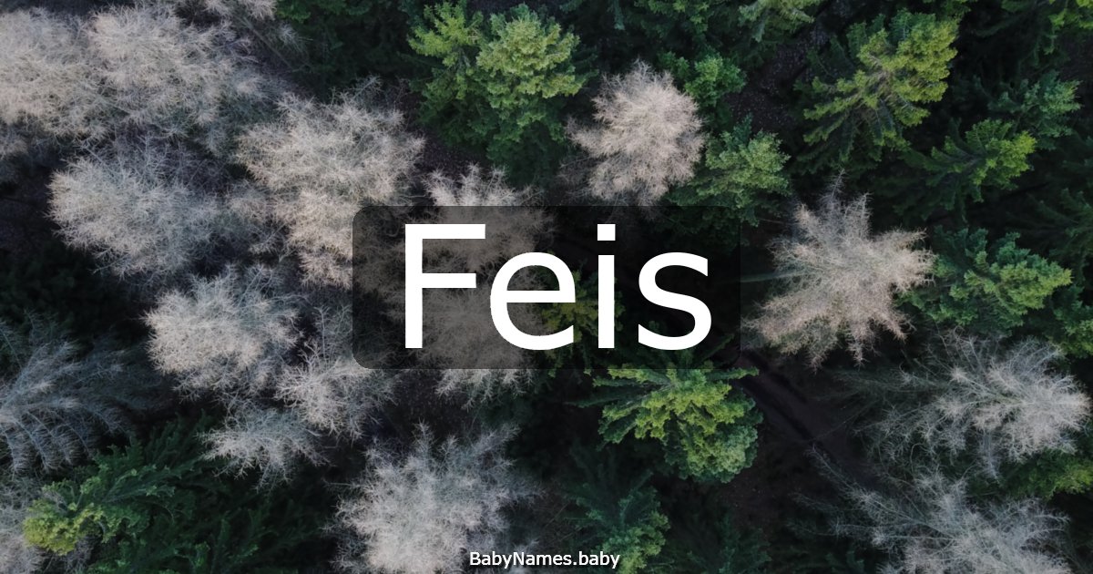 Feis