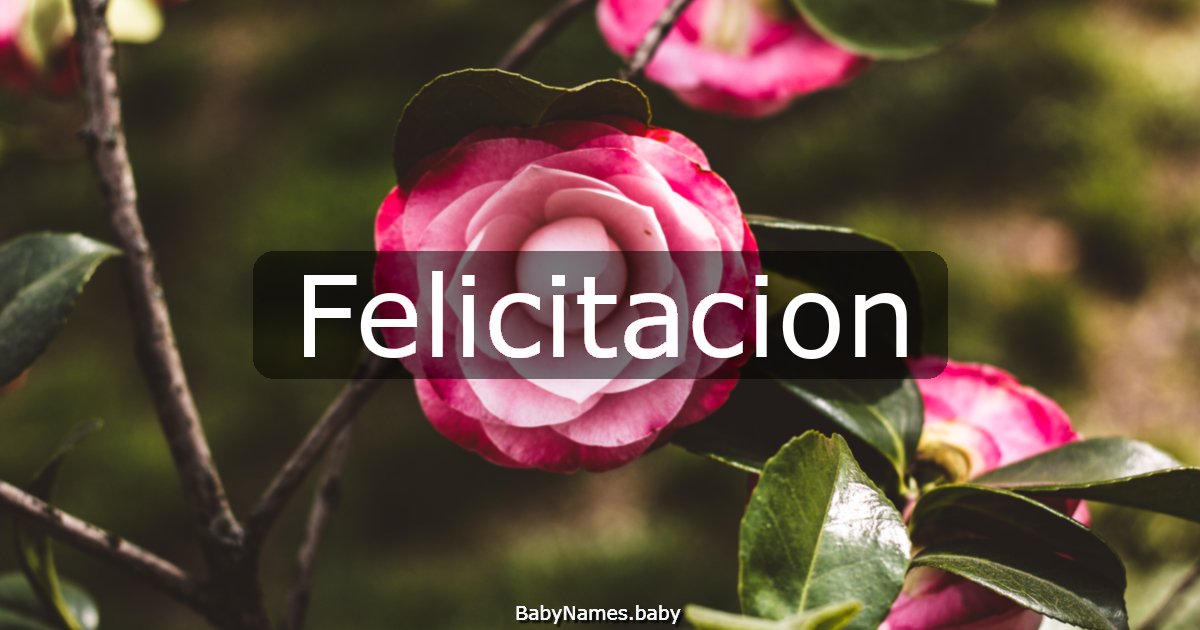 Felicitacion