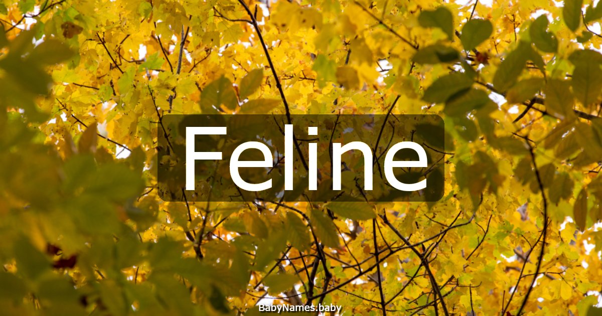 Feline