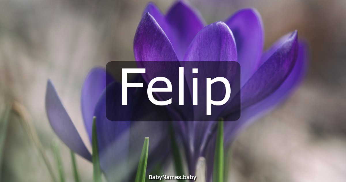 Felip
