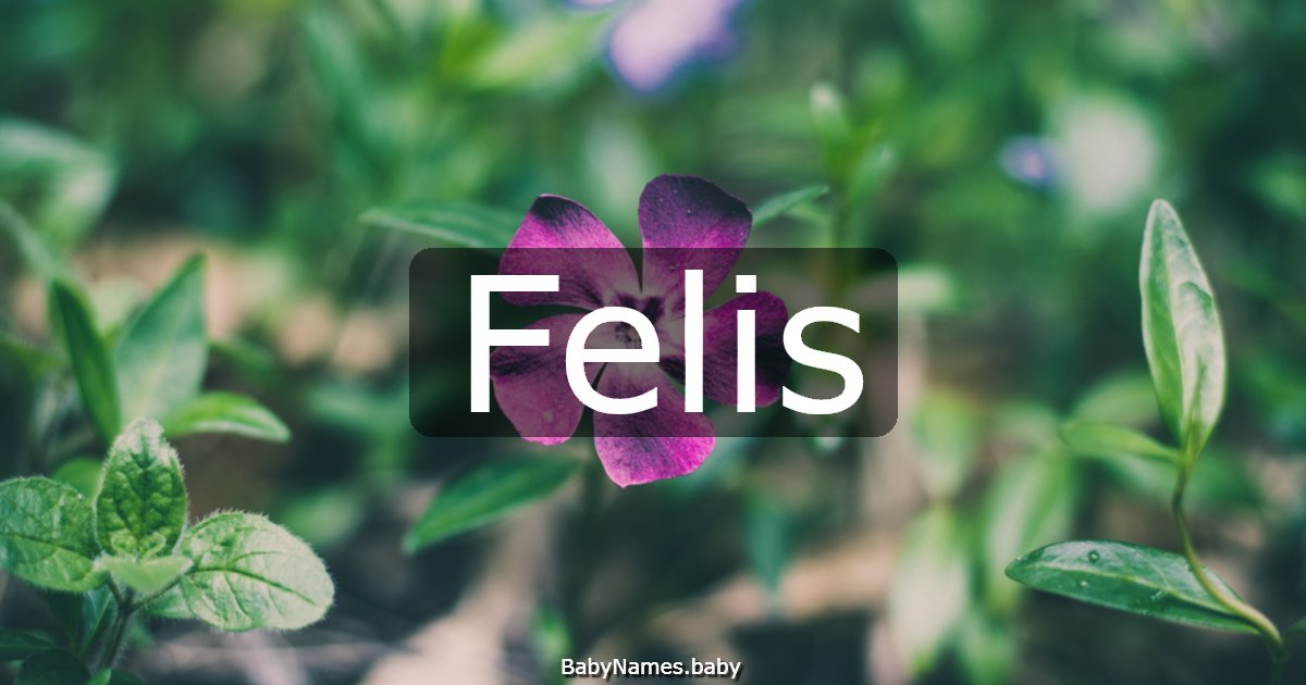 Felis