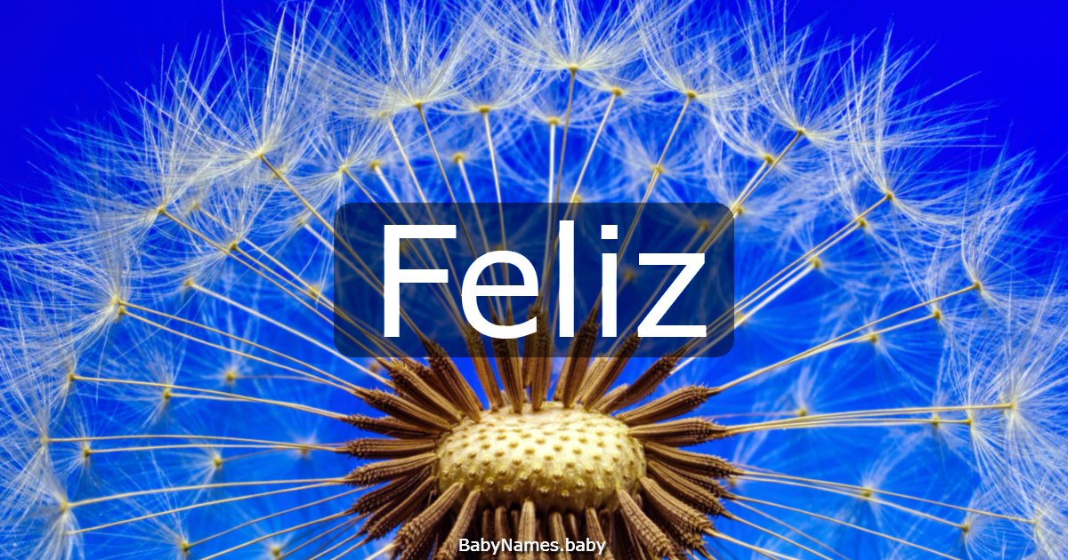 Feliz