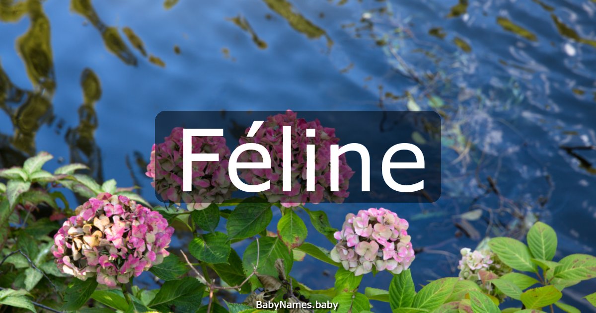 Féline