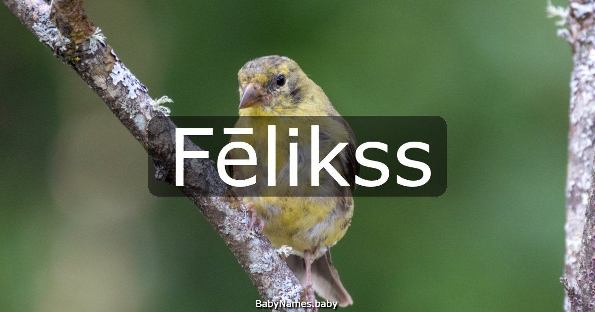 Fēlikss