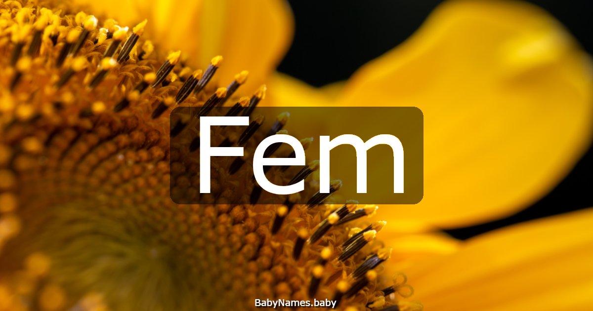Fem