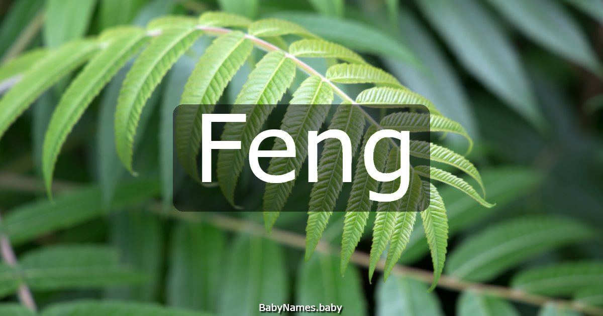 Feng