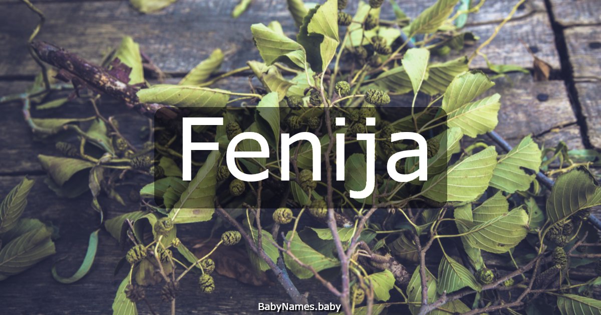 Fenija
