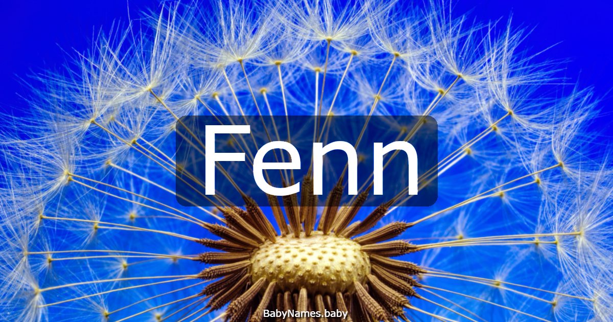 Fenn