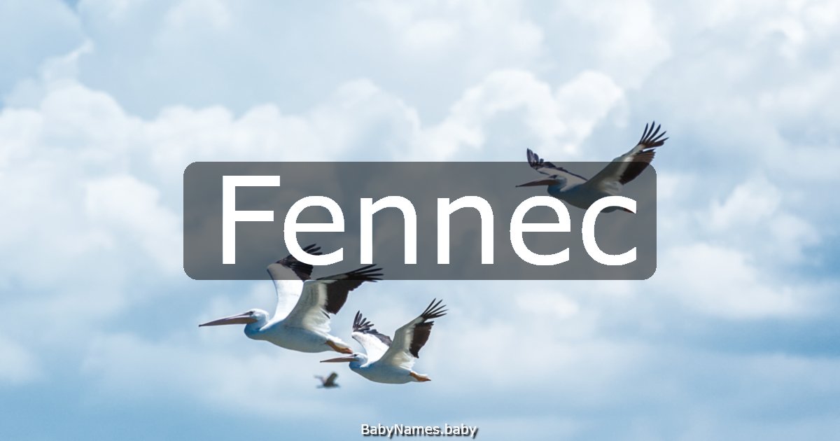 Fennec