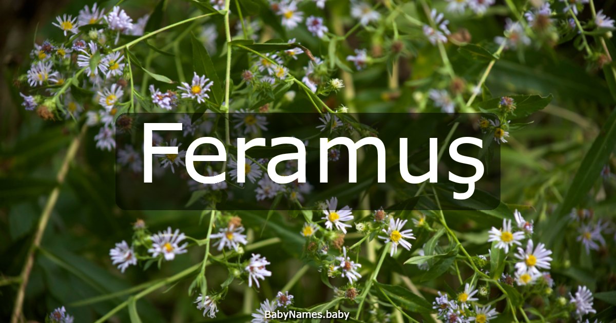 Feramuş