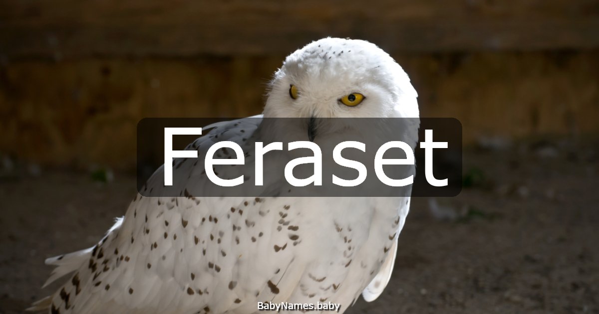 Feraset