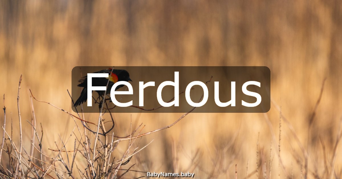 Ferdous