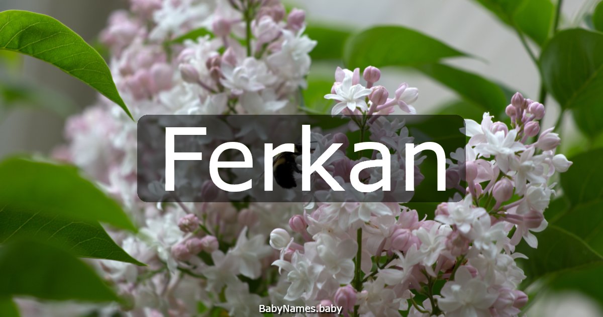 Ferkan