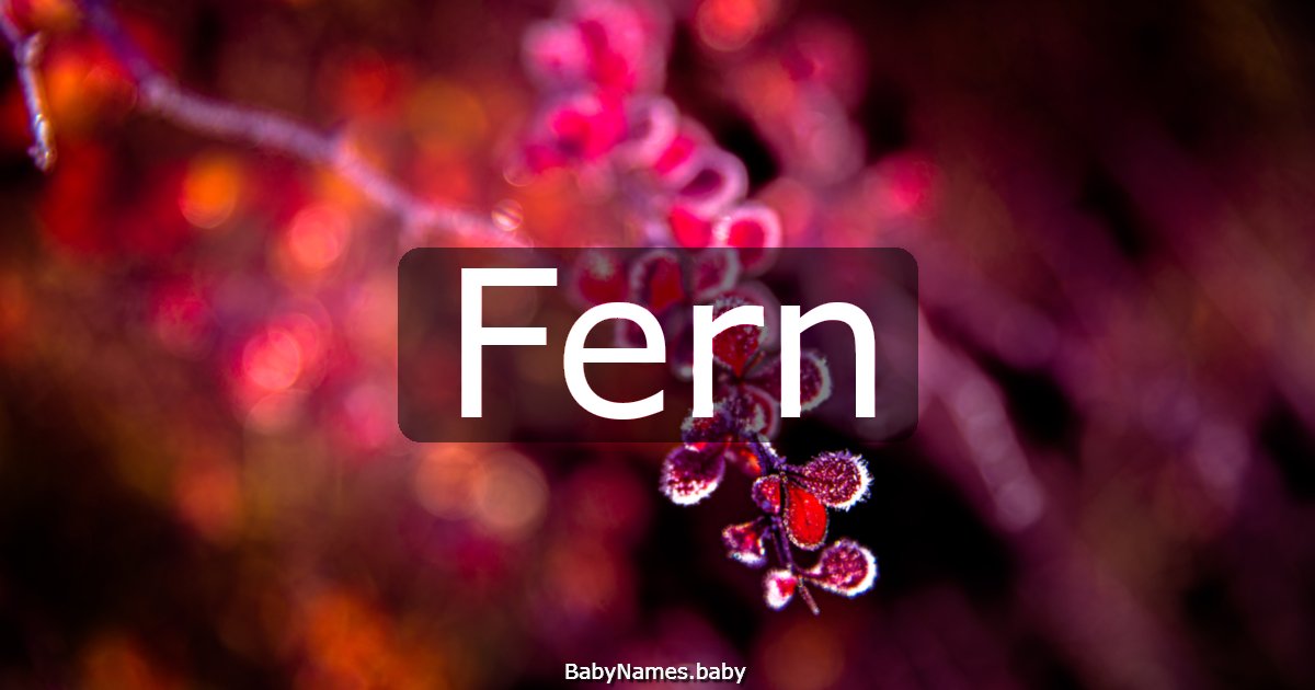 Fern