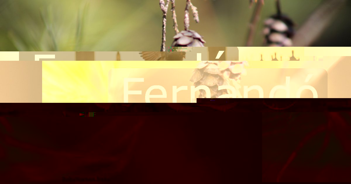 Fernandó