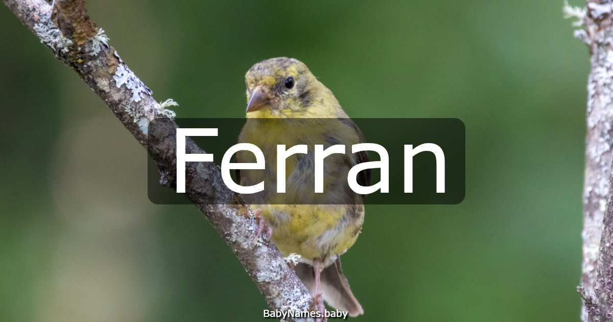 Ferran