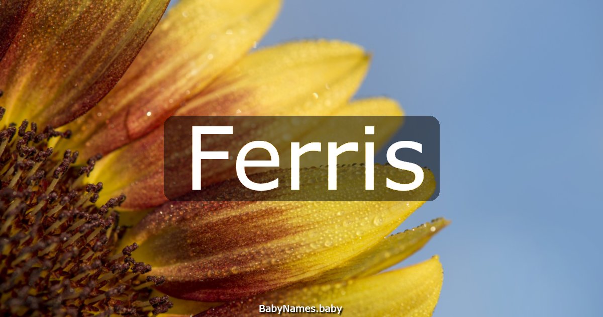 Ferris