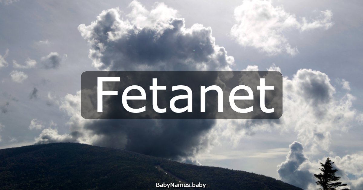 Fetanet