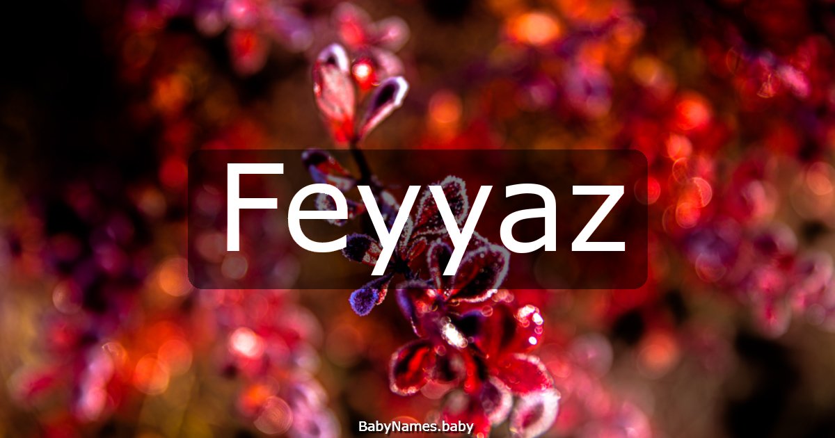 Feyyaz