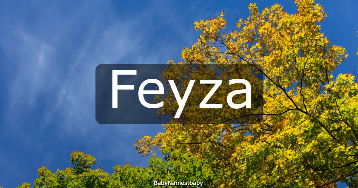 Feyza
