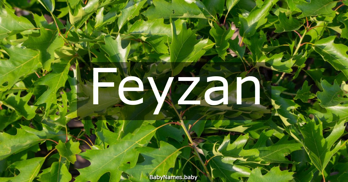 Feyzan