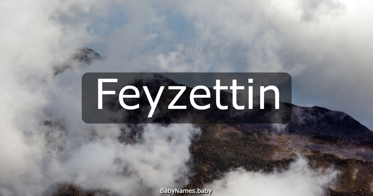 Feyzettin