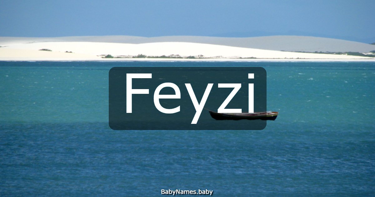 Feyzi