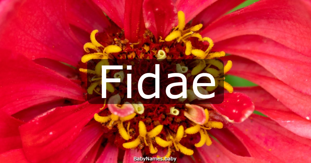 Fidae
