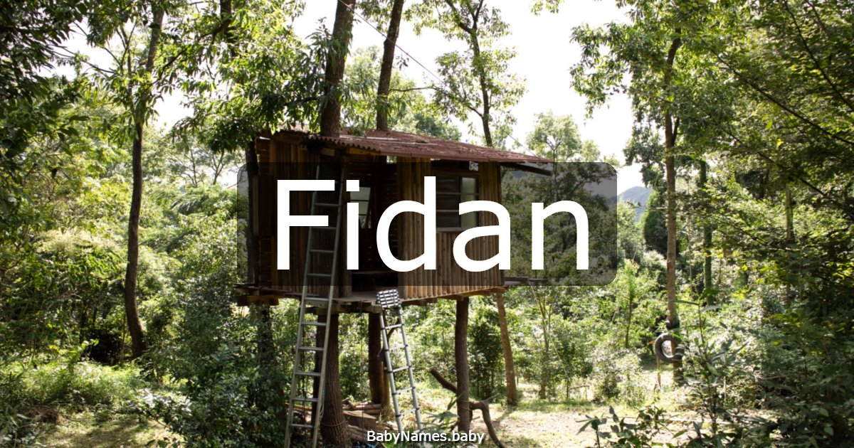 Fidan