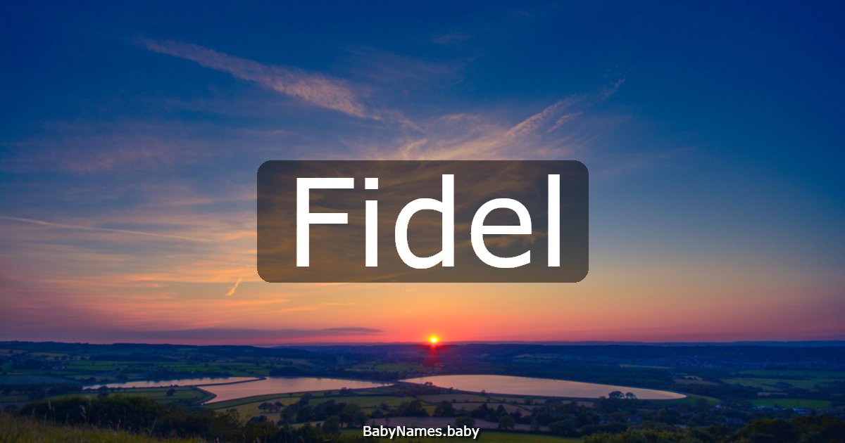 Fidel