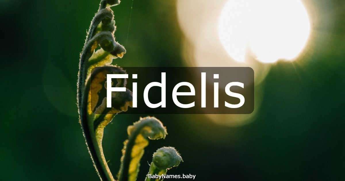 Fidelis