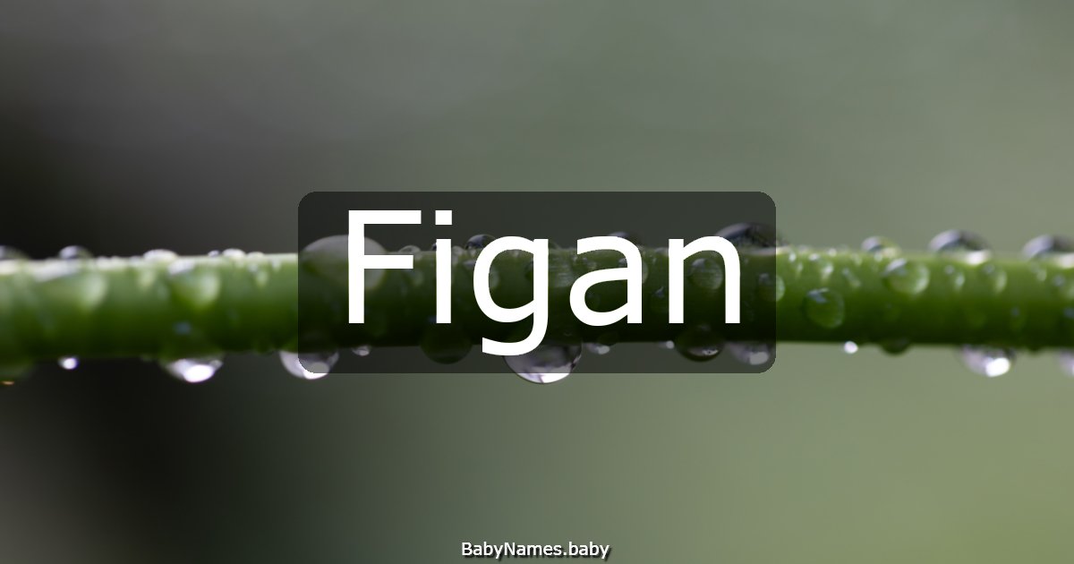 Figan