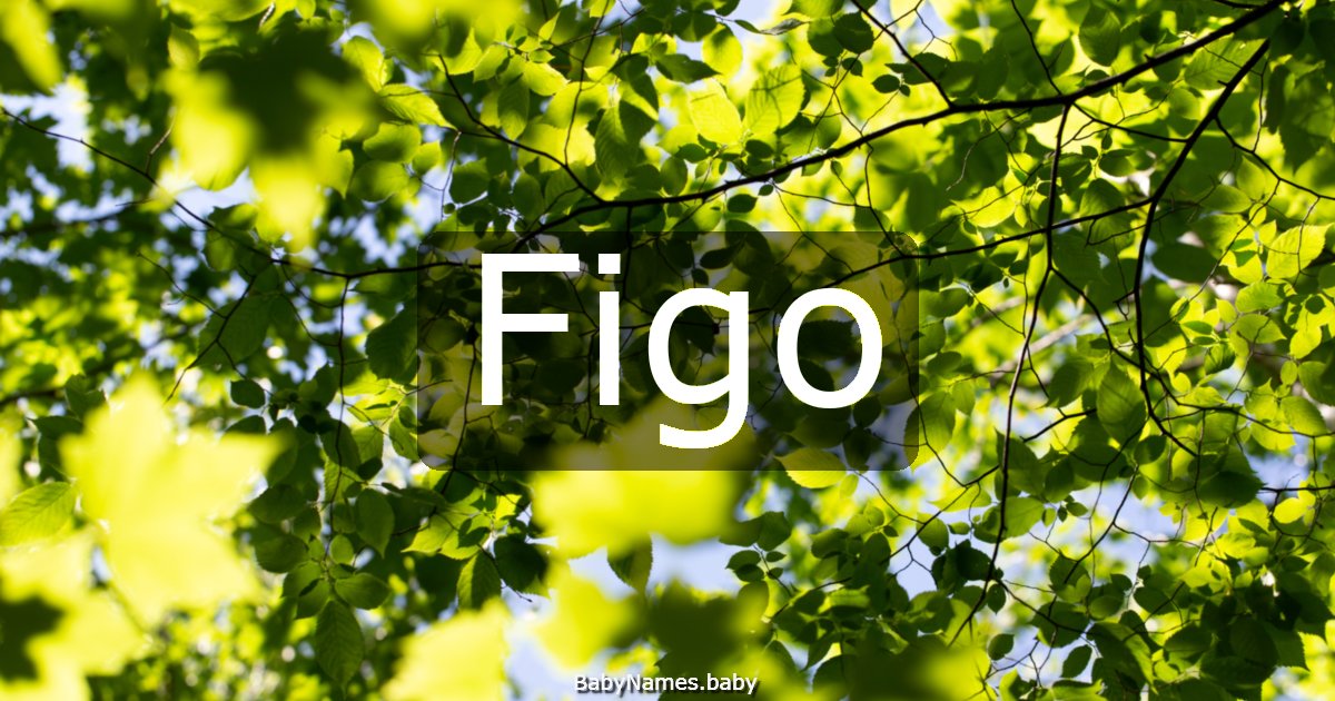 Figo