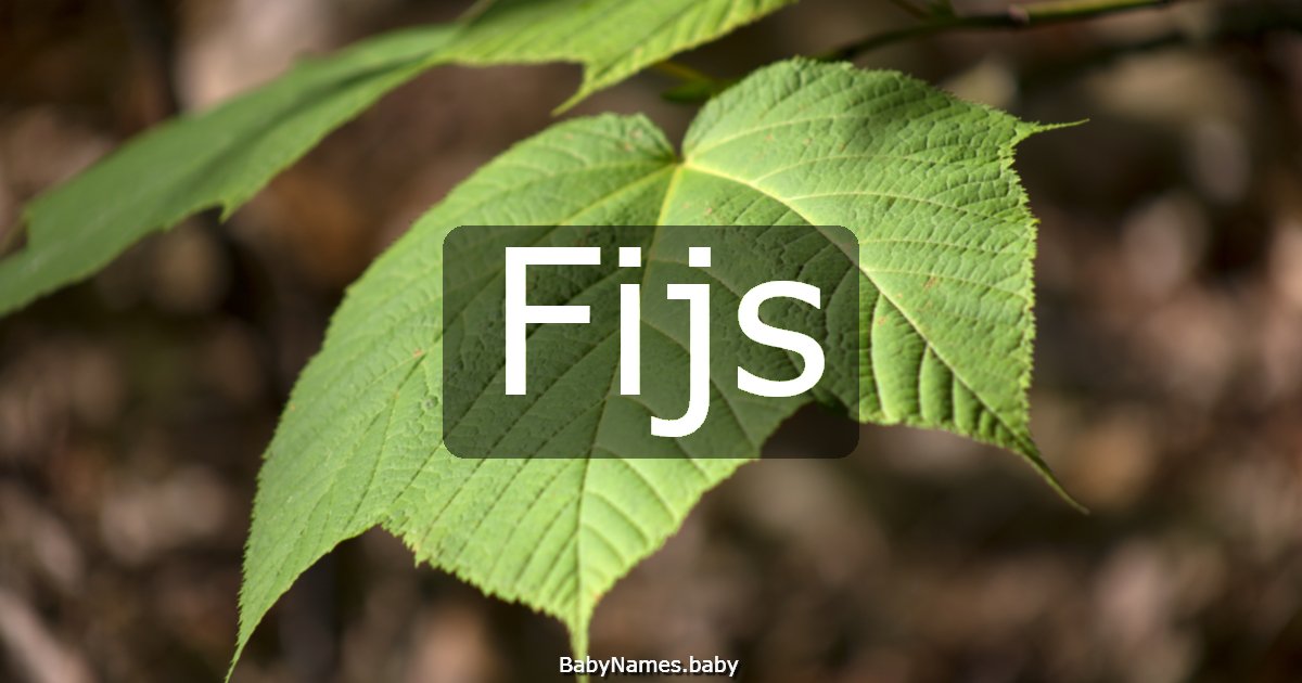 Fijs