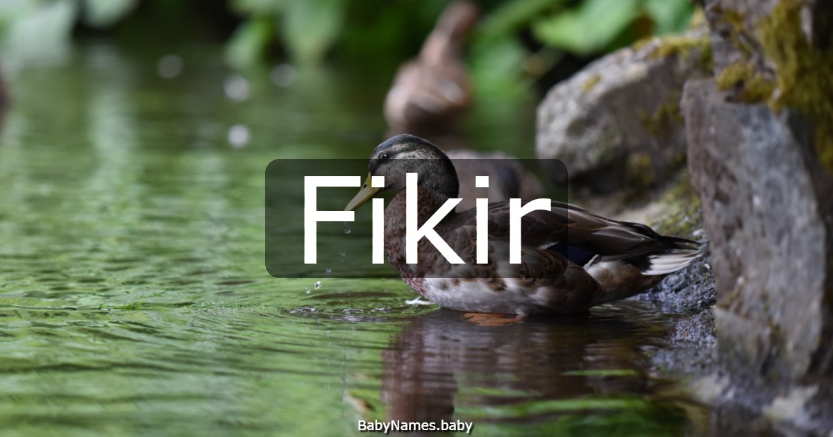 Fikir