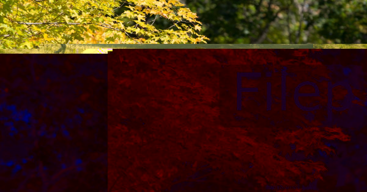 Filep